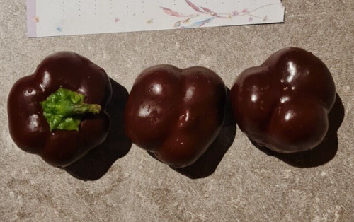 Semi peperoncino cherry - 20, di
