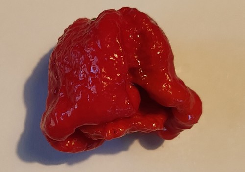 Semi peperoncino jay - peperoncino,
