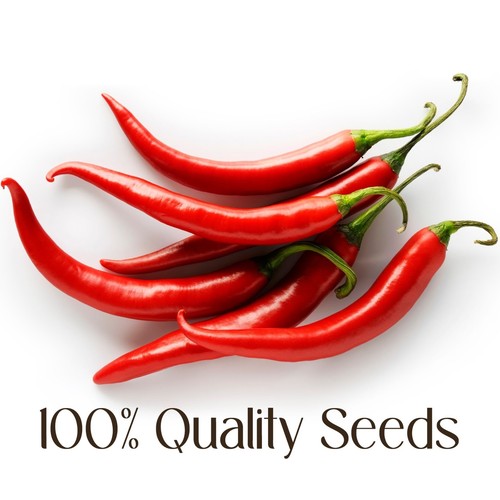 Peperoncino red birds eye - peperoncino,