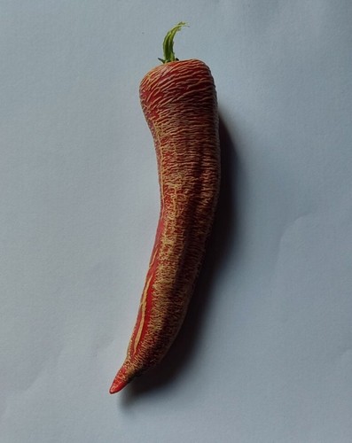Semi peperoncino - 20, di