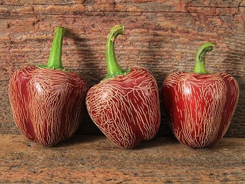 Semi peperoncino - 20, di