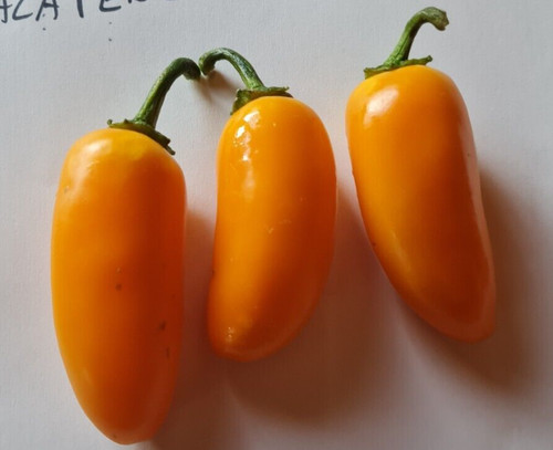 Semi peperoncino - 20, di