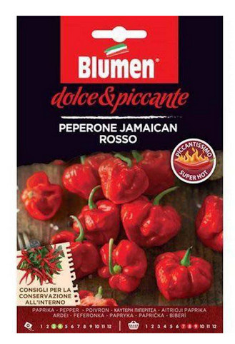 Blumen dolce piccante - blumen,