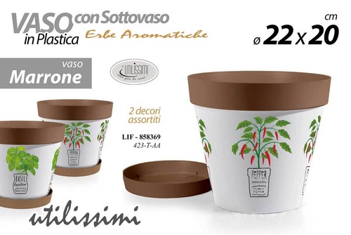 Vaso piante fiori - vaso, semi