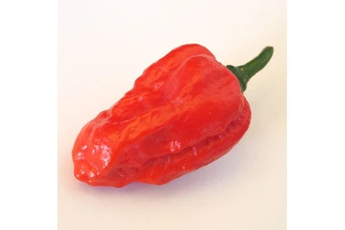 Semi peperoncino fatali - semi,